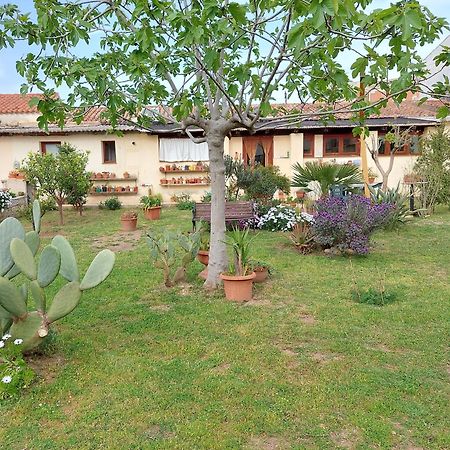 Garden Rooms Olbia Eksteriør billede