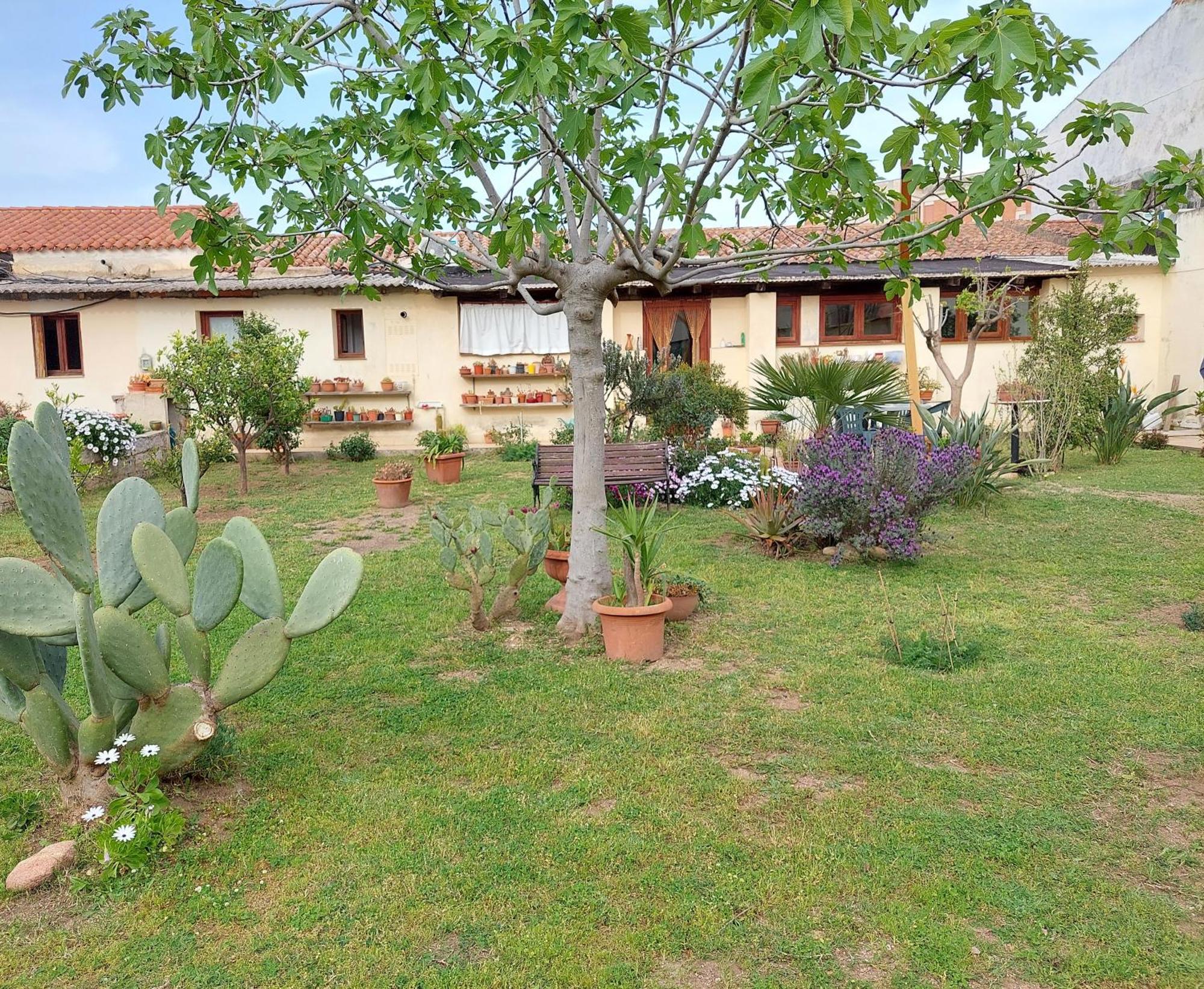 Garden Rooms Olbia Eksteriør billede